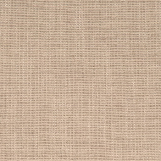 Charlotte - D4253 - Wheat - Fabric by the Yard Wheat
