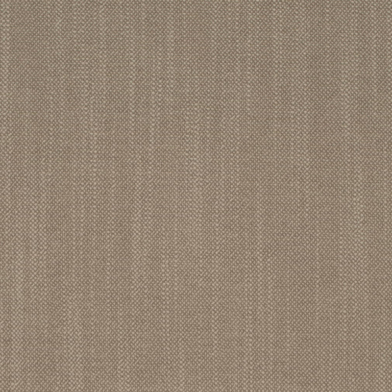 Charlotte - D4256 - Clay - Fabric by the Yard Clay