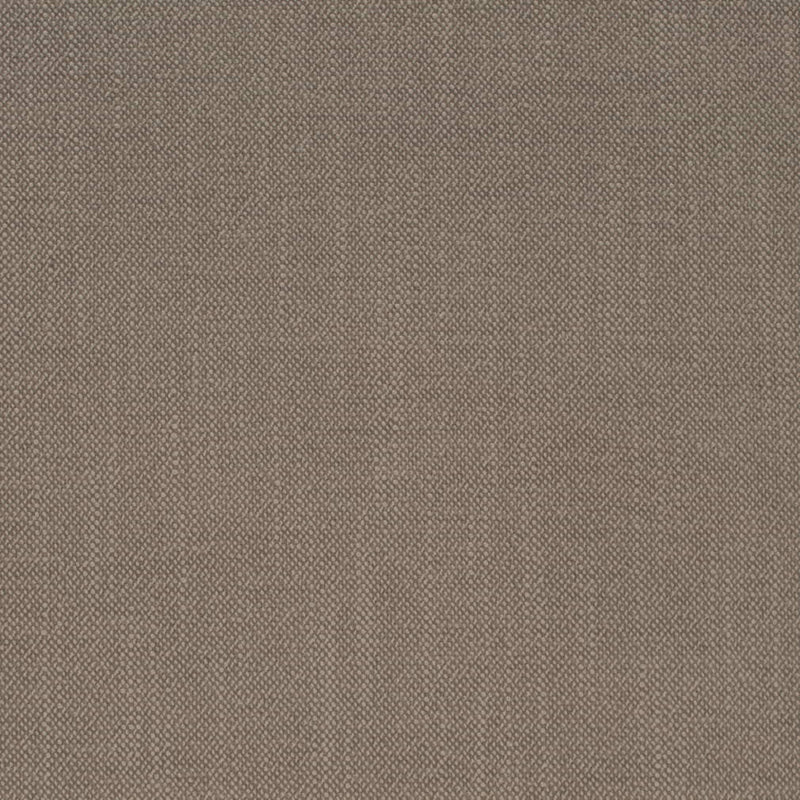 Charlotte - D4257 - Pumice - Fabric by the Yard Pumice