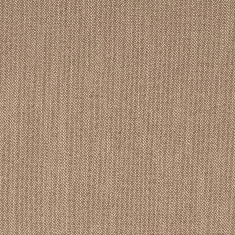 Charlotte - D4259 - Oatmeal - Fabric by the Yard Oatmeal