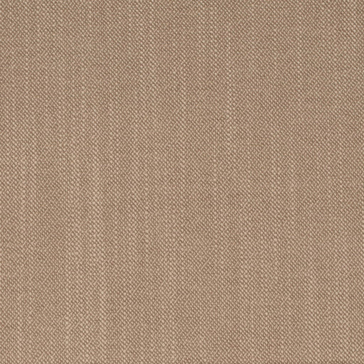 Charlotte - D4259 - Oatmeal - Fabric by the Yard Oatmeal