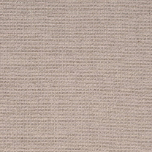 Charlotte - D4264 - Fossil - Fabric by the Yard Fossil