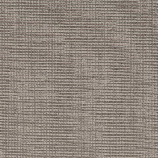 Charlotte - D4266 - Greystone - Fabric by the Yard Greystone