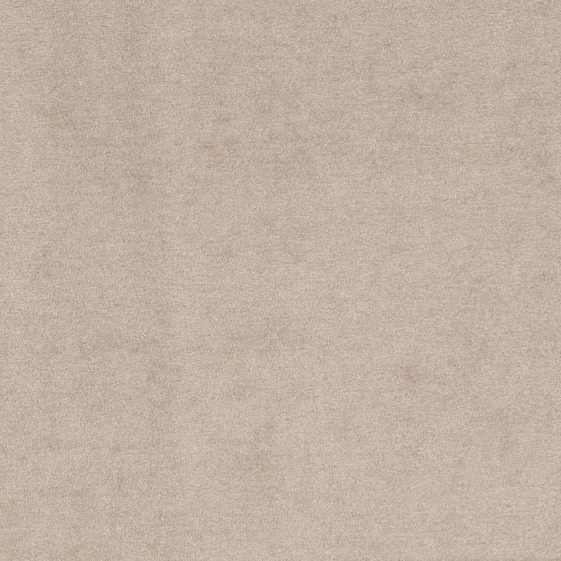 Charlotte - D4270 - Dove - Fabric by the Yard Dove