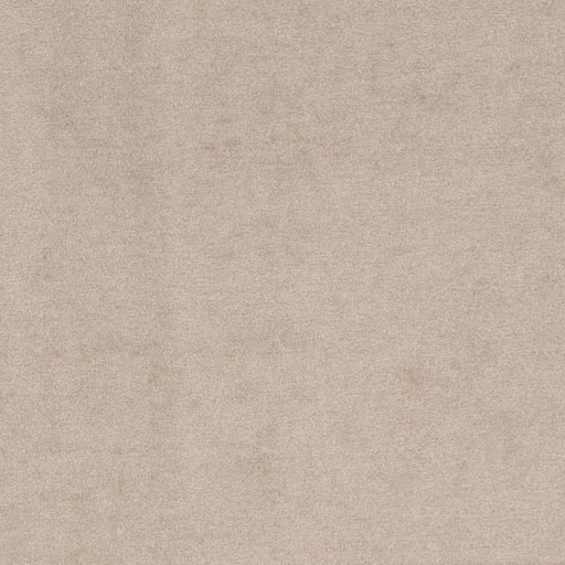 Charlotte - D4270 - Dove - Fabric by the Yard Dove