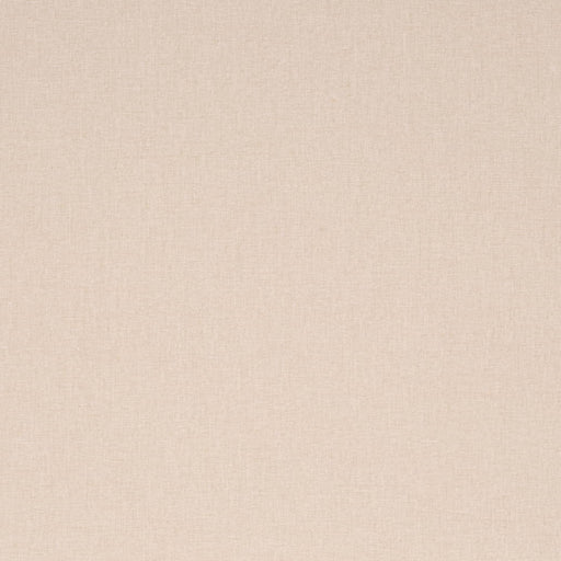 Charlotte - D4275 - Eggshell - Fabric by the Yard Eggshell