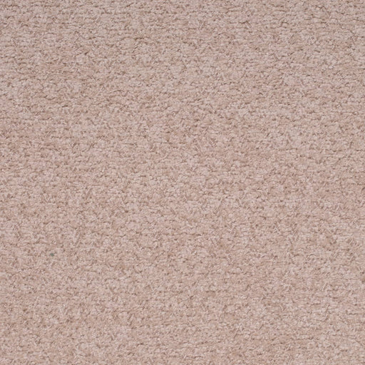 Charlotte - D4277 - Latte - Fabric by the Yard Latte