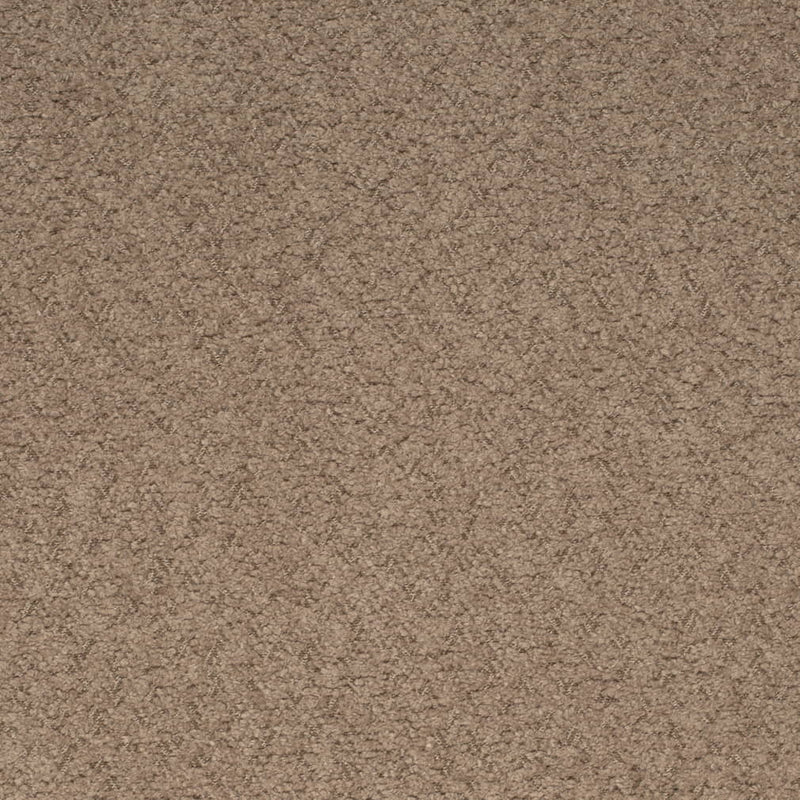 Charlotte - D4280 - Hazelnut - Fabric by the Yard Hazelnut