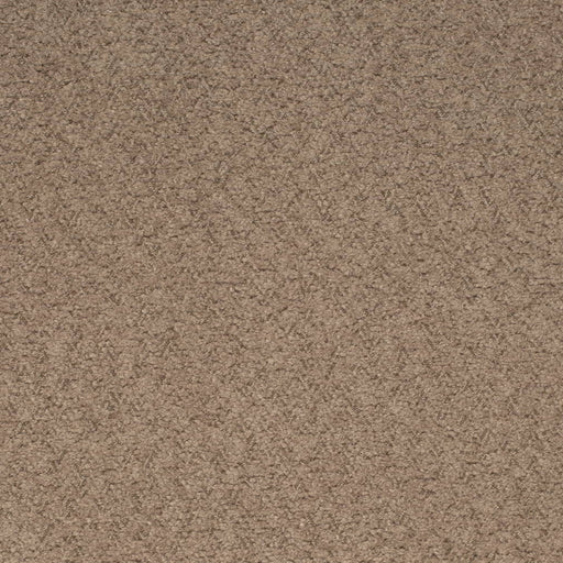 Charlotte - D4280 - Hazelnut - Fabric by the Yard Hazelnut