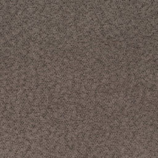 Charlotte - D4282 - Espresso - Fabric by the Yard Espresso