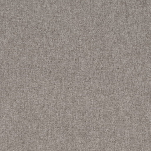 Charlotte - D4283 - Zinc - Fabric by the Yard Zinc