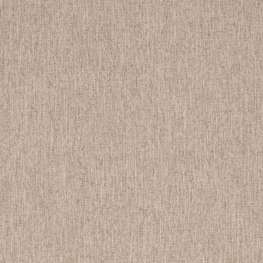 Charlotte - D4288 - Ash - Fabric by the Yard Ash