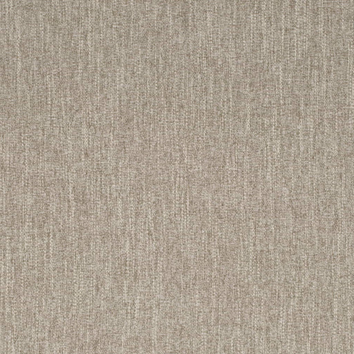 Charlotte - D4289 - Limestone - Fabric by the Yard Limestone