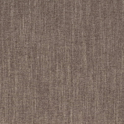 Charlotte - D4290 - Mocha - Fabric by the Yard Mocha
