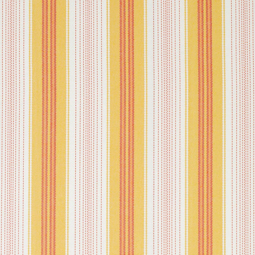 Charlotte - D4301 - Daffodil - Fabric by the Yard Daffodil