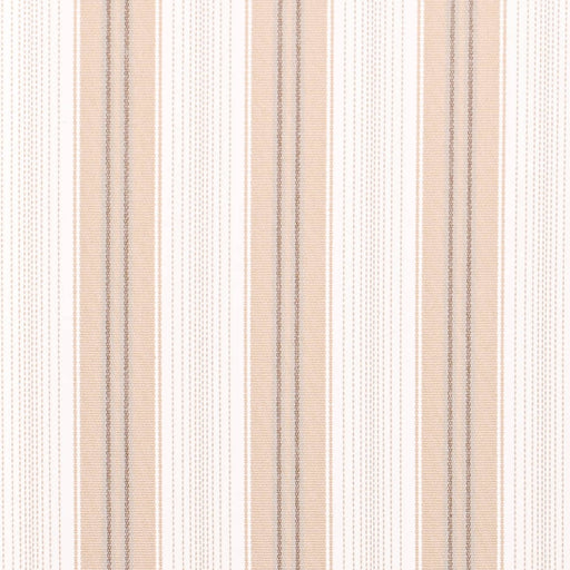 Charlotte - D4307 - Fawn - Fabric by the Yard Fawn