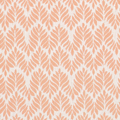 Charlotte - D4311 - Shell - Fabric by the Yard Shell