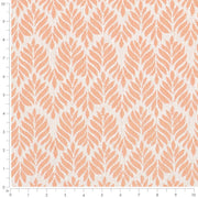 Charlotte - D4311 - Shell - Fabric by the Yard - D4311 - D4311_Ruler