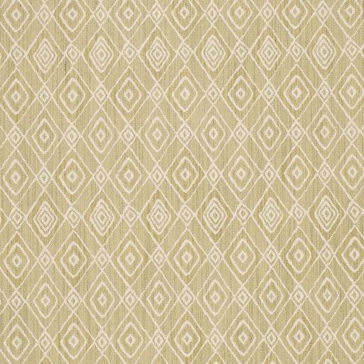 Charlotte - D4335 - Pistachio - Fabric by the Yard Pistachio