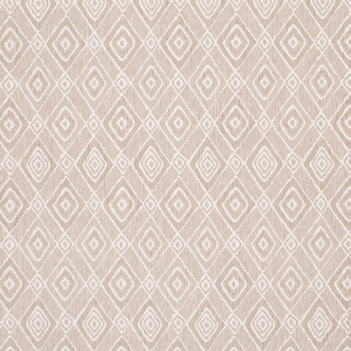 Charlotte - D4339 - Cloud - Fabric by the Yard Cloud