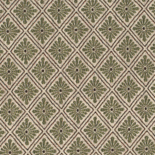 Charlotte - D4388 - Aloe - Fabric by the Yard Aloe