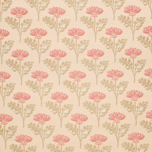 Charlotte - D4419 - Grace Coral - Fabric by the Yard Grace Coral