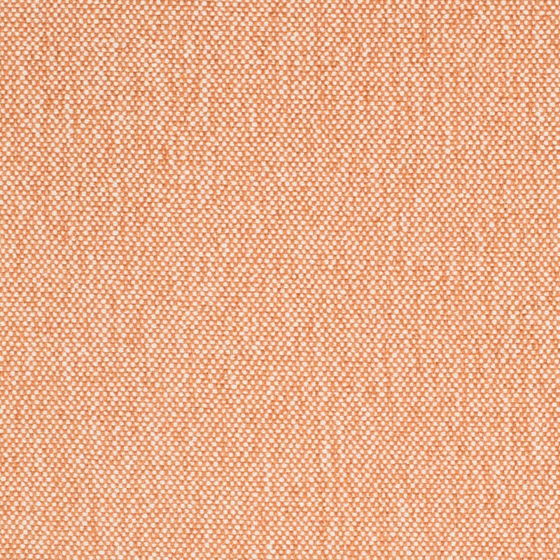 Charlotte - D4456 - Peach - Fabric by the Yard Peach