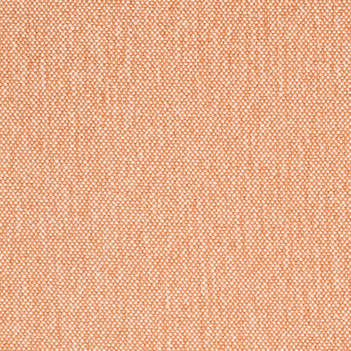 Charlotte - D4456 - Peach - Fabric by the Yard Peach