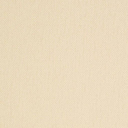 Charlotte - D4457 - Pearl - Fabric by the Yard Pearl
