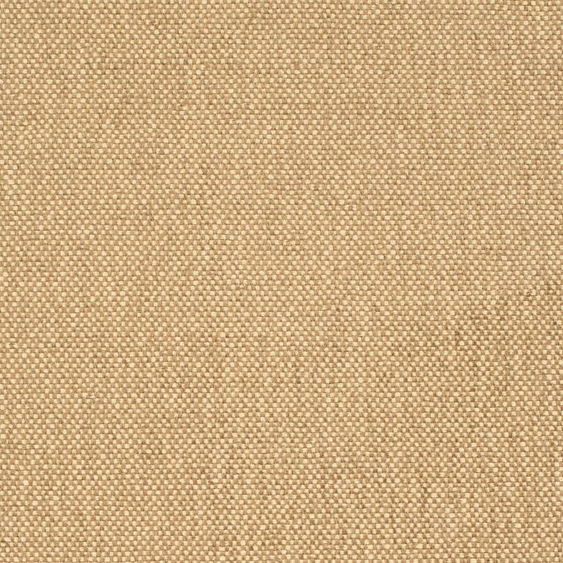 Charlotte - D4464 - Latte - Fabric by the Yard Latte