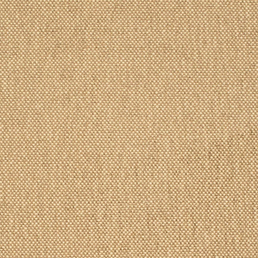 Charlotte - D4464 - Latte - Fabric by the Yard Latte