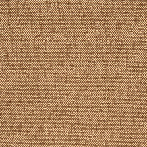 Charlotte - D4465 - Coffee - Fabric by the Yard Coffee