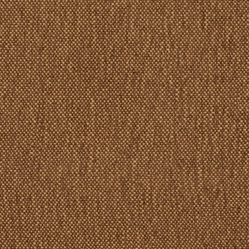 Charlotte - D4466 - Nutmeg - Fabric by the Yard Nutmeg