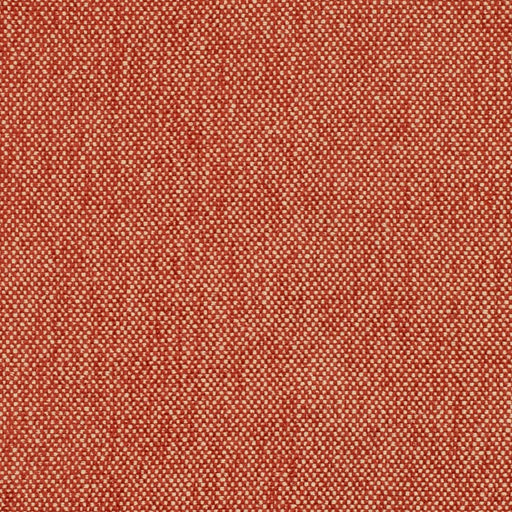 Charlotte - D4469 - Spice - Fabric by the Yard Spice