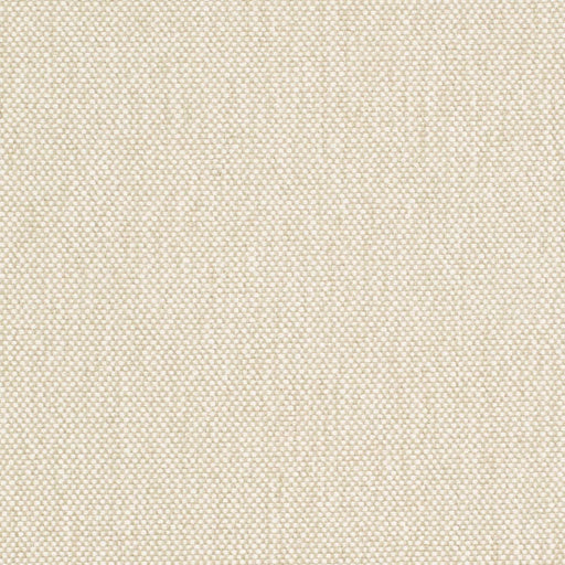 Charlotte - D4471 - Pebble - Fabric by the Yard Pebble