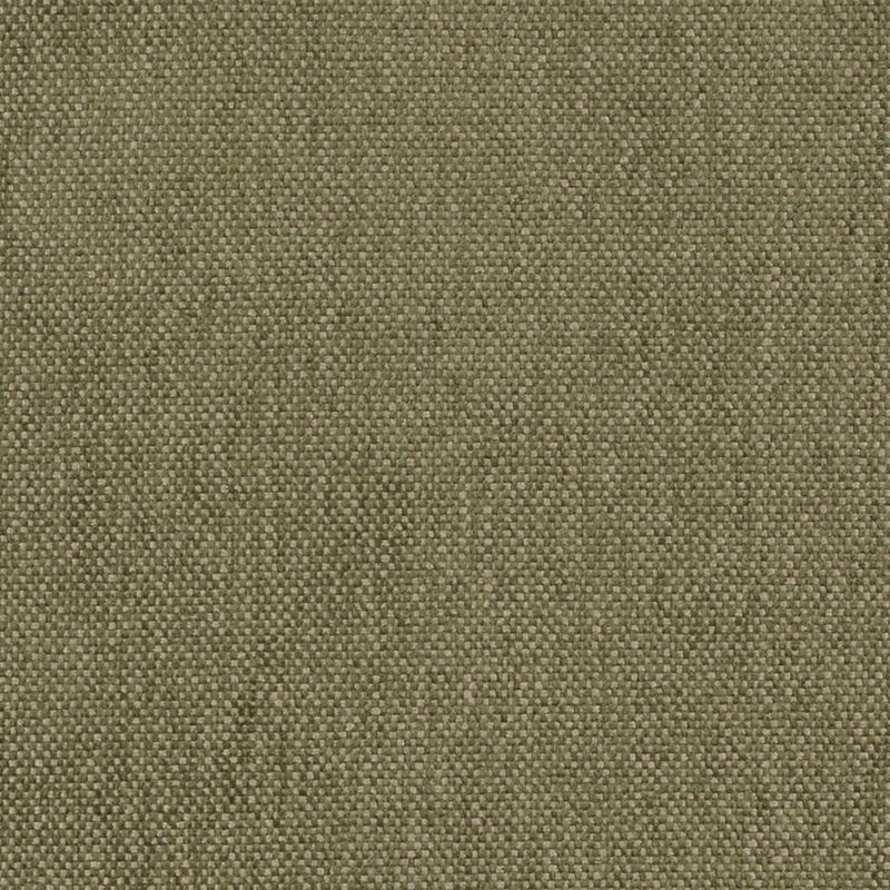 Charlotte - D4474 - Moss - Fabric by the Yard Moss