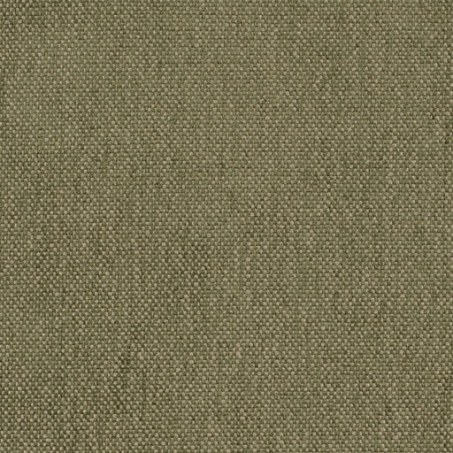 Charlotte - D4474 - Moss - Fabric by the Yard Moss