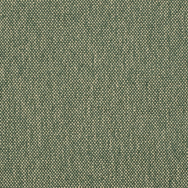 Charlotte - D4475 - Hunter - Fabric by the Yard Hunter