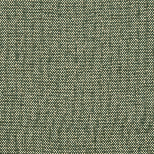 Charlotte - D4475 - Hunter - Fabric by the Yard Hunter