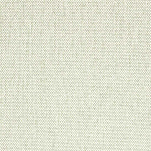 Charlotte - D4476 - Celadon - Fabric by the Yard Celadon