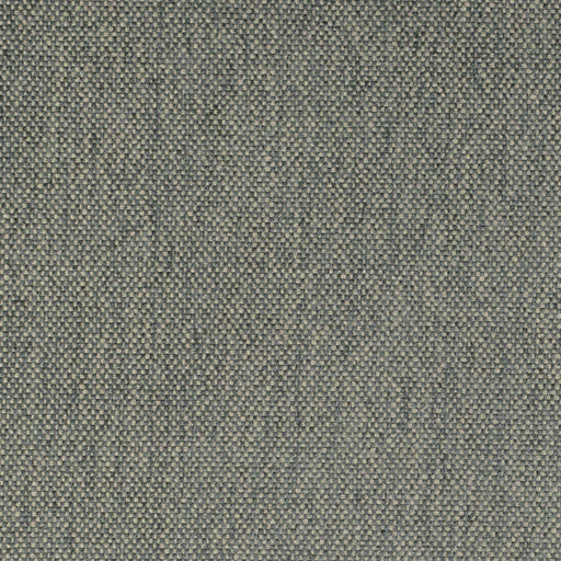 Charlotte - D4478 - Slate - Fabric by the Yard Slate