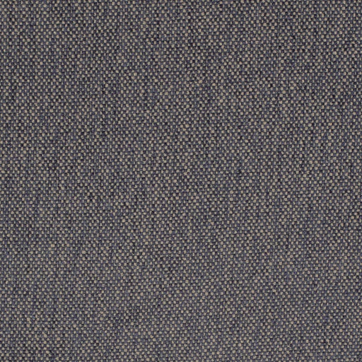 Charlotte - D4479 - Navy - Fabric by the Yard Navy