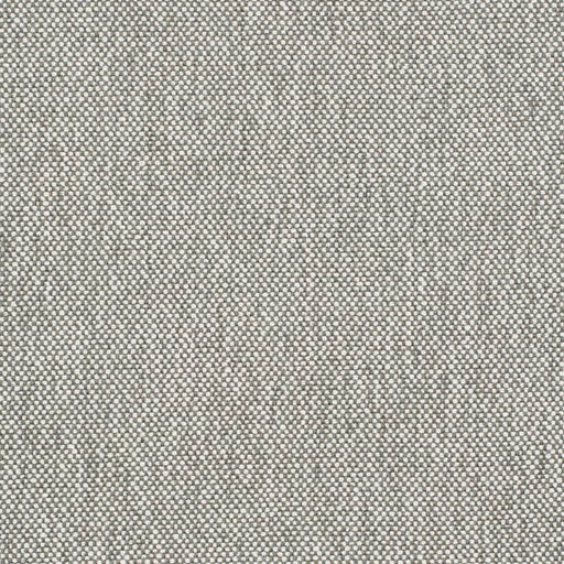 Charlotte - D4486 - Pewter - Fabric by the Yard Pewter