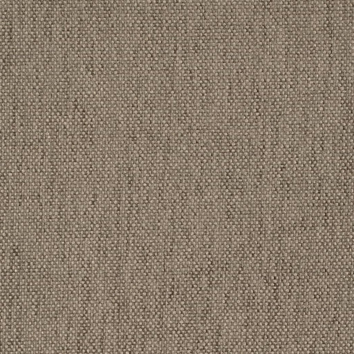 Charlotte - D4487 - Stone - Fabric by the Yard Stone