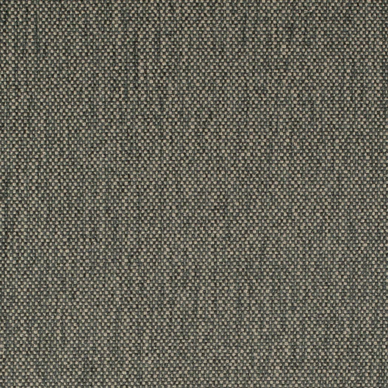 Charlotte - D4488 - Zinc - Fabric by the Yard Zinc