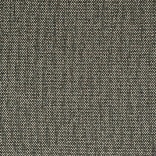 Charlotte - D4488 - Zinc - Fabric by the Yard Zinc