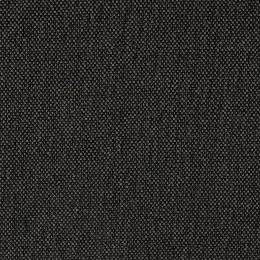 Charlotte - D4490 - Onyx - Fabric by the Yard Onyx