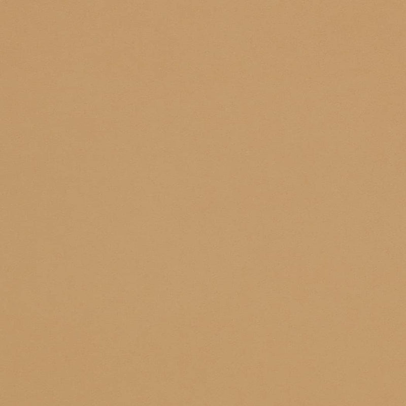 Charlotte - D4497 - Tan - Fabric by the Yard Tan