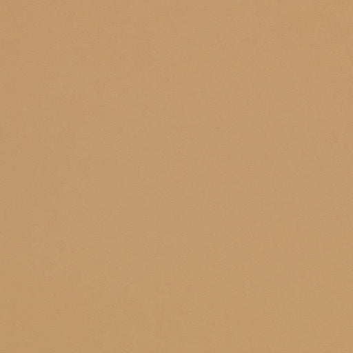 Charlotte - D4497 - Tan - Fabric by the Yard Tan