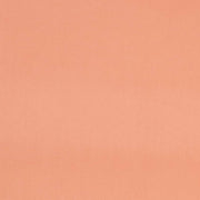 Charlotte - D4504 - Blush - Fabric by the Yard Blush